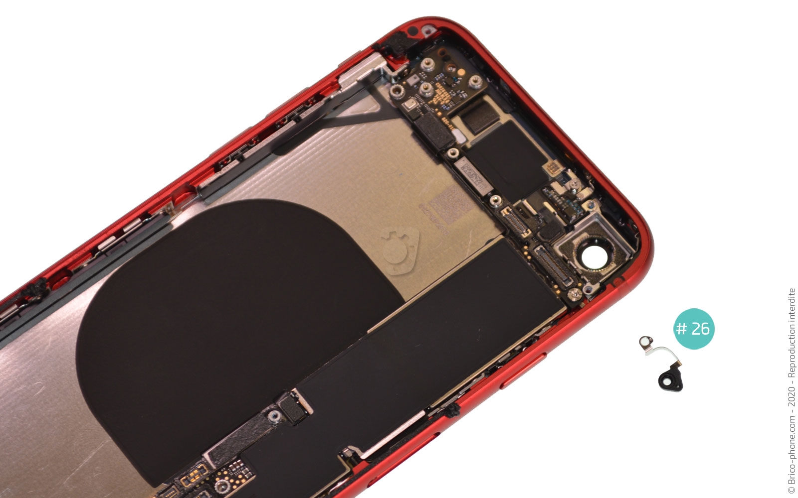 Démontage complet sur iPhone SE 2020 photo 3