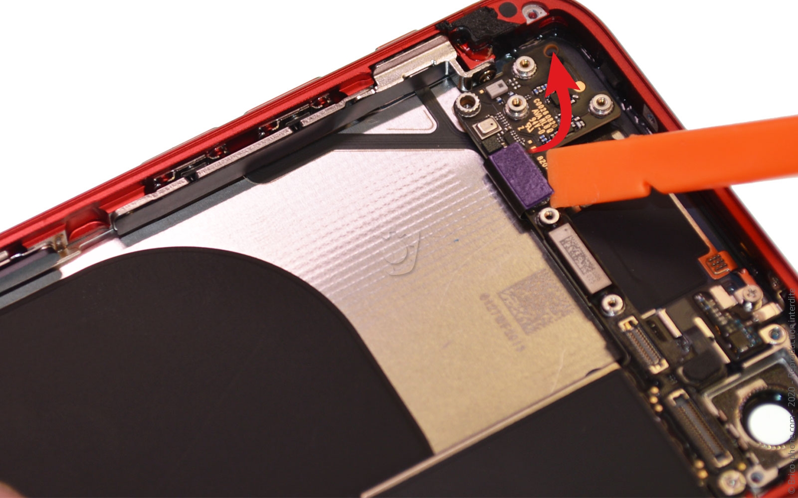 Démontage complet sur iPhone SE 2020 photo 4