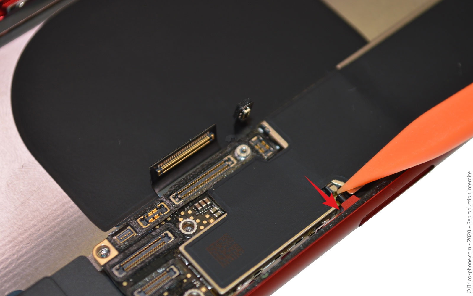 Démontage complet sur iPhone SE 2020 photo 3