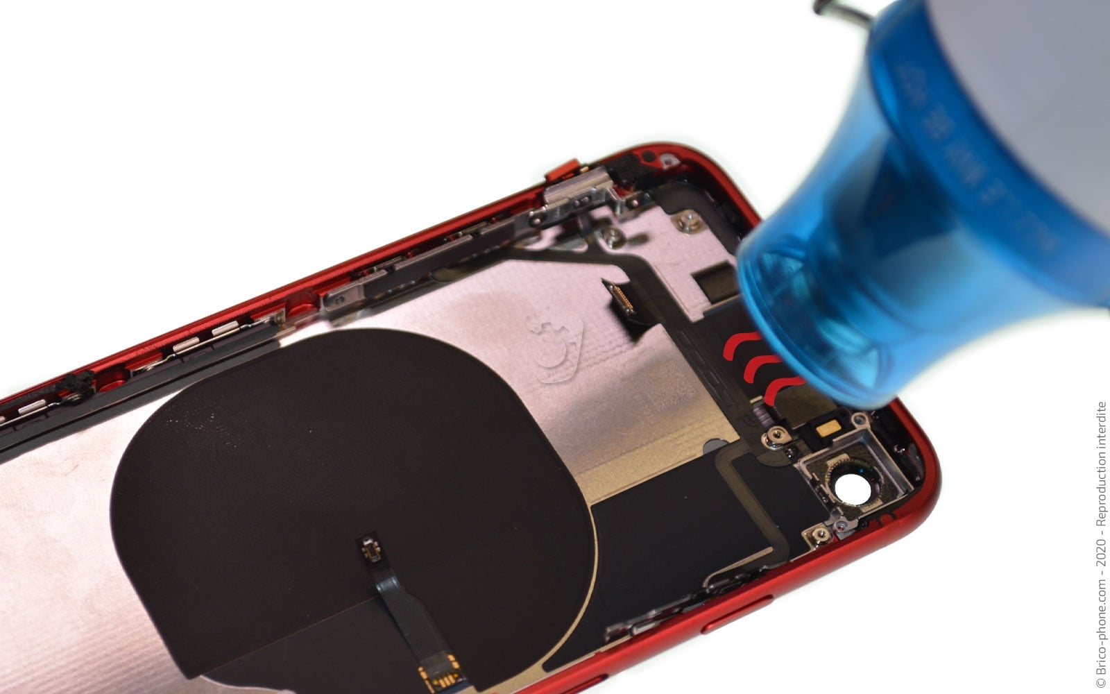 Démontage complet sur iPhone SE 2020 photo 2