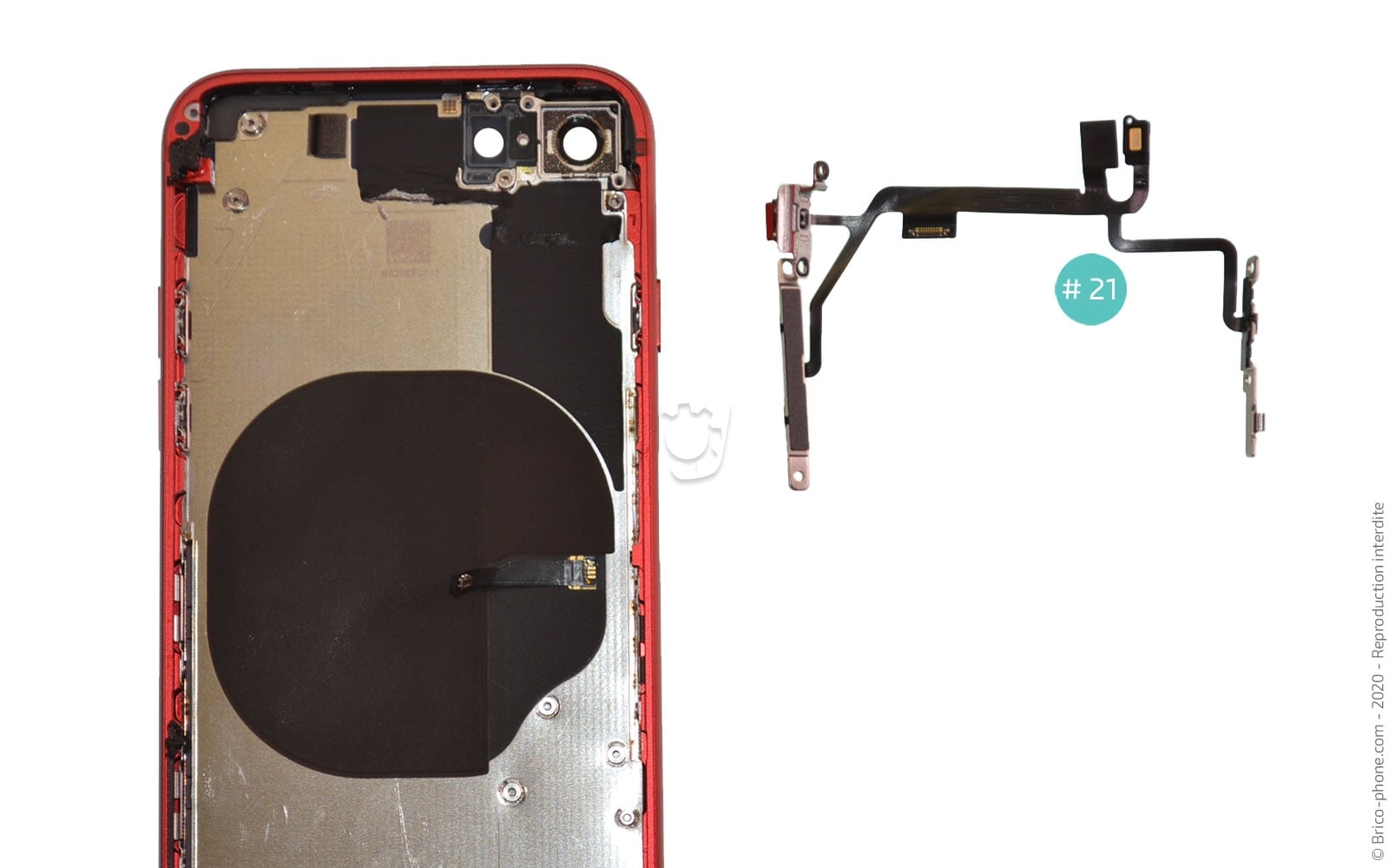 Démontage complet sur iPhone SE 2020 photo 4