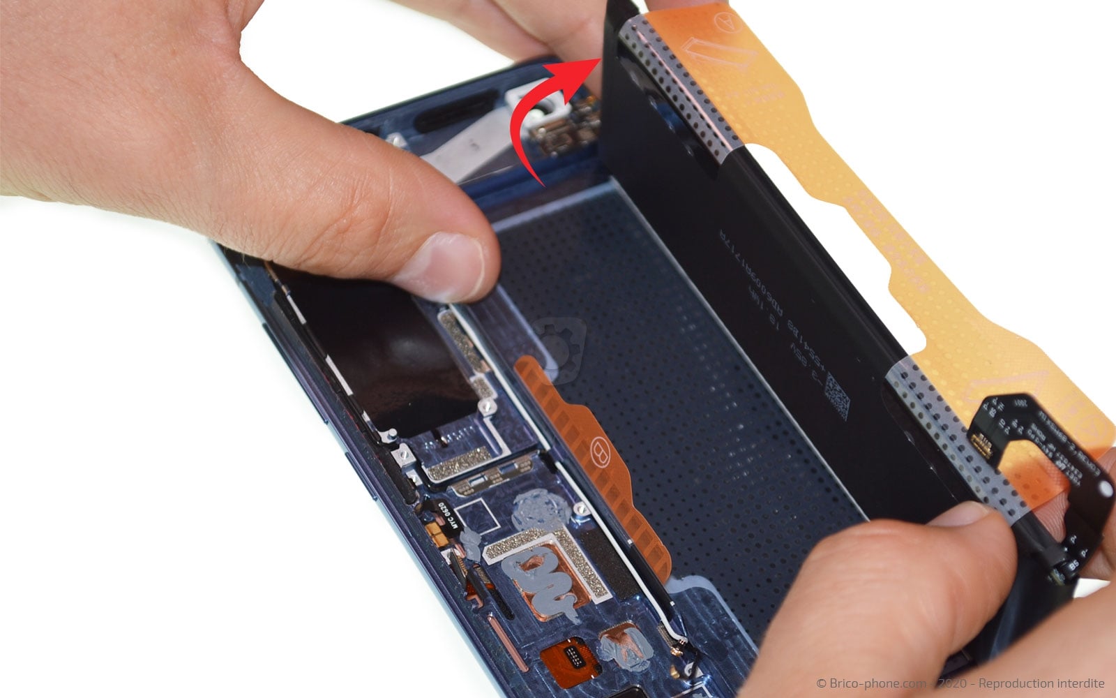 Démontage complet sur Mi 10 photo 4