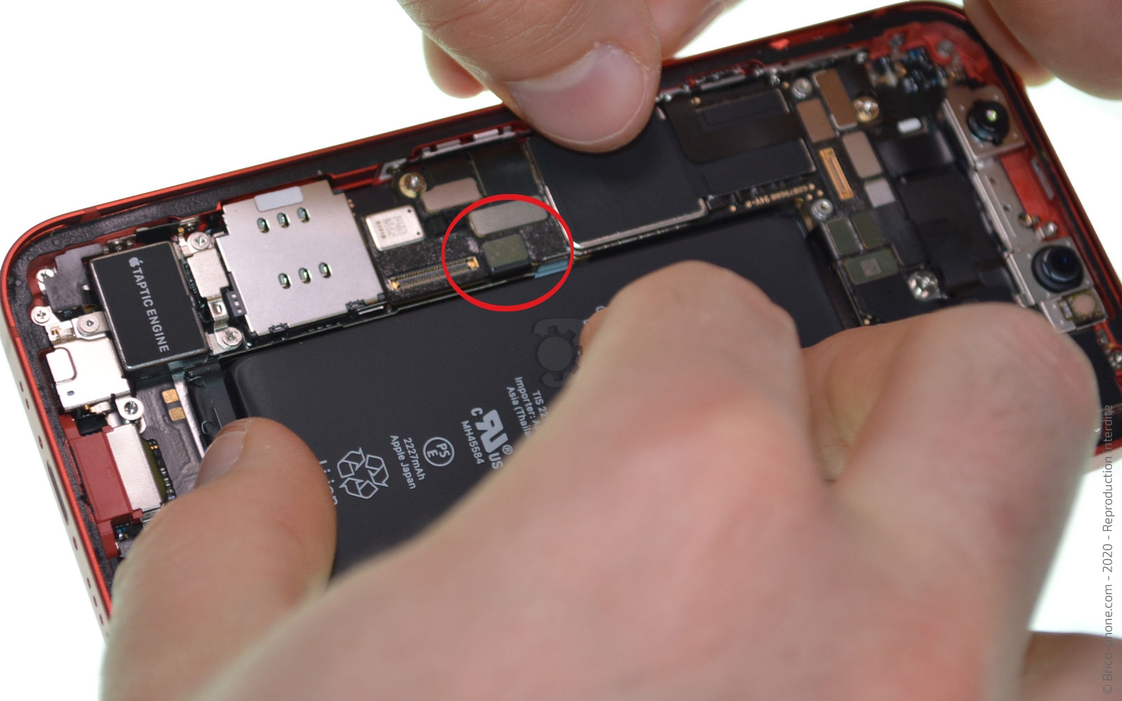 Changement de batterie sur iPhone 12 Mini photo 2