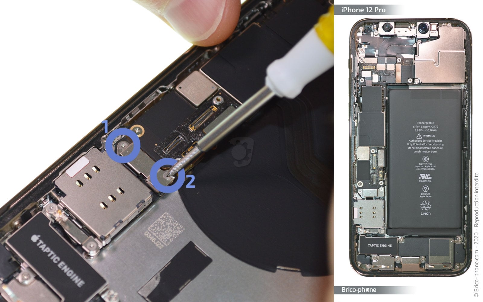 Remplacement du Taptic Engine (vibreur) sur iPhone 12 Pro photo 1
