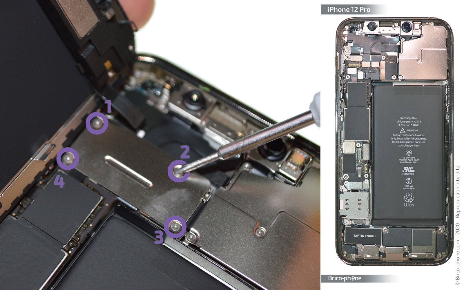 Remplacement du Taptic Engine (vibreur) sur iPhone 12 Pro photo 1