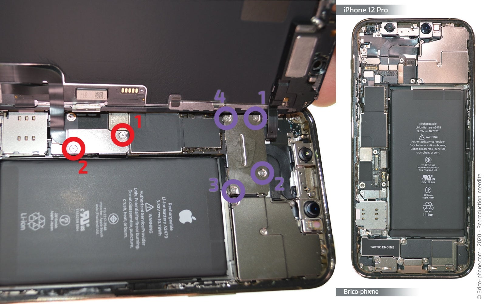 Remplacement du Taptic Engine (vibreur) sur iPhone 12 Pro photo 1