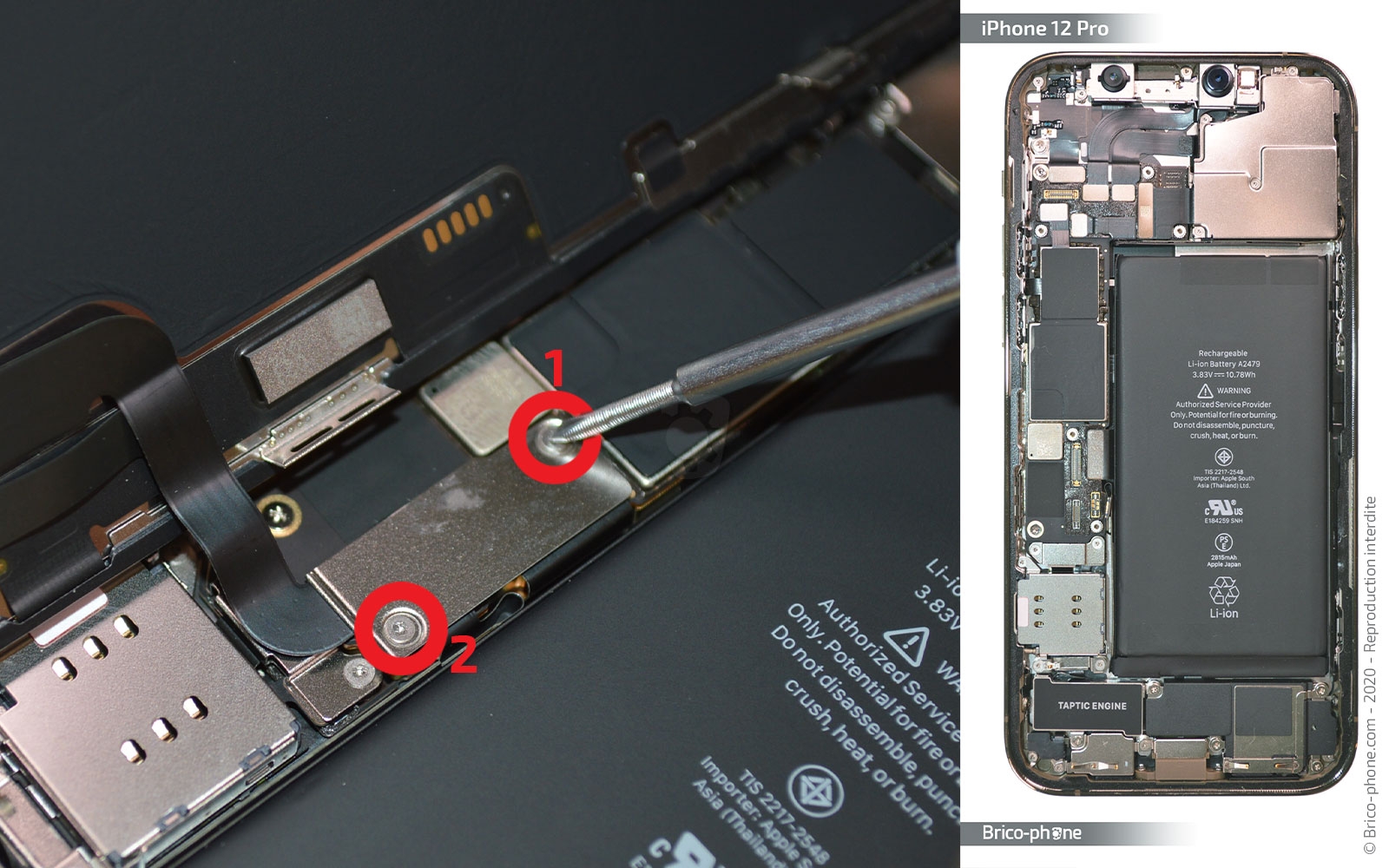 Remplacement du Taptic Engine (vibreur) sur iPhone 12 Pro photo 2
