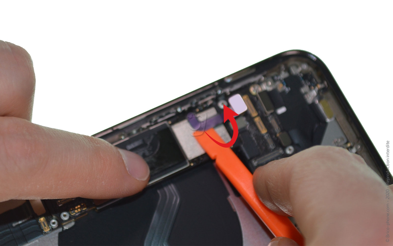 Démontage Complet sur iPhone 12 Pro photo 3