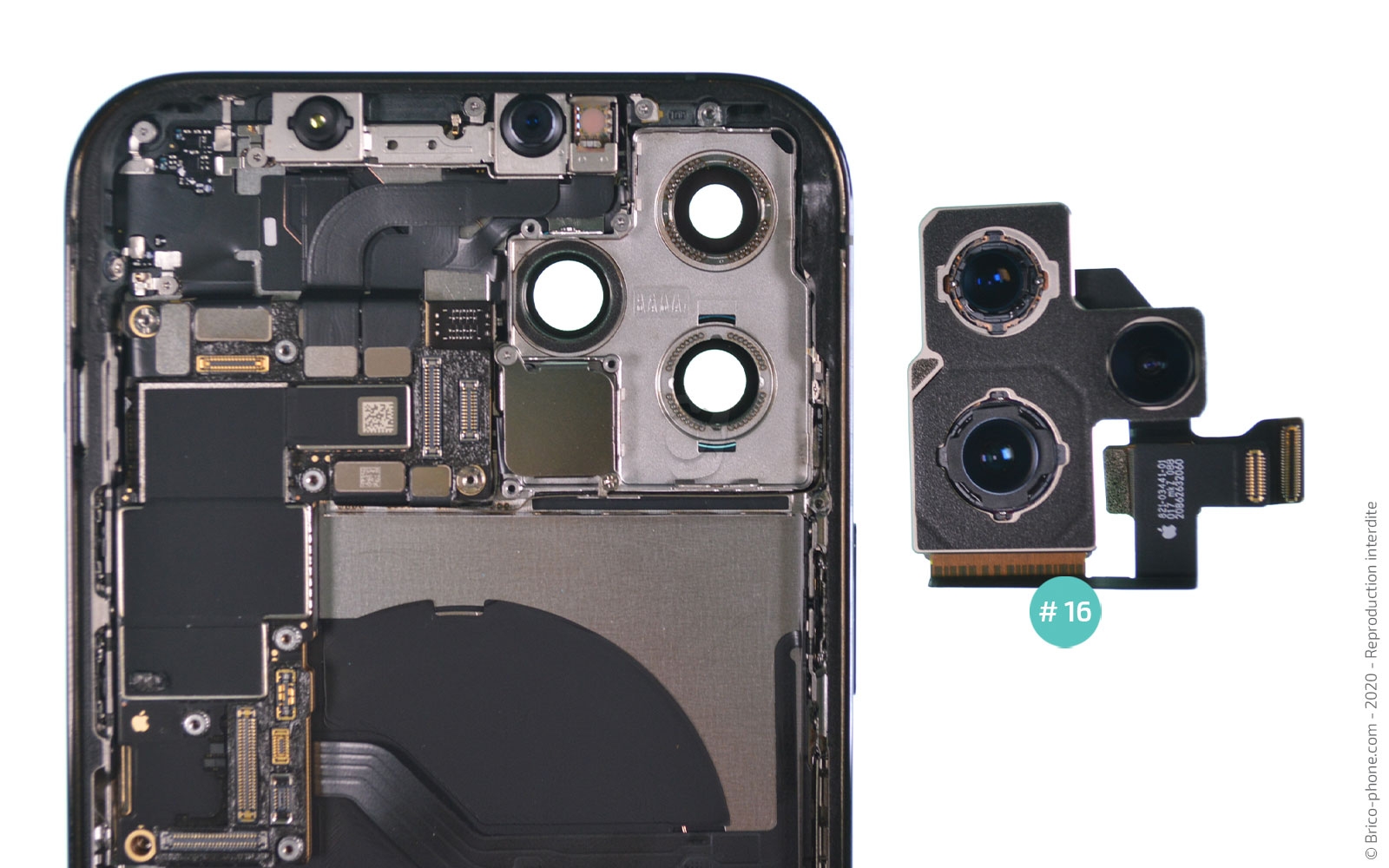 Démontage complet sur iPhone 12 Pro Max photo 4