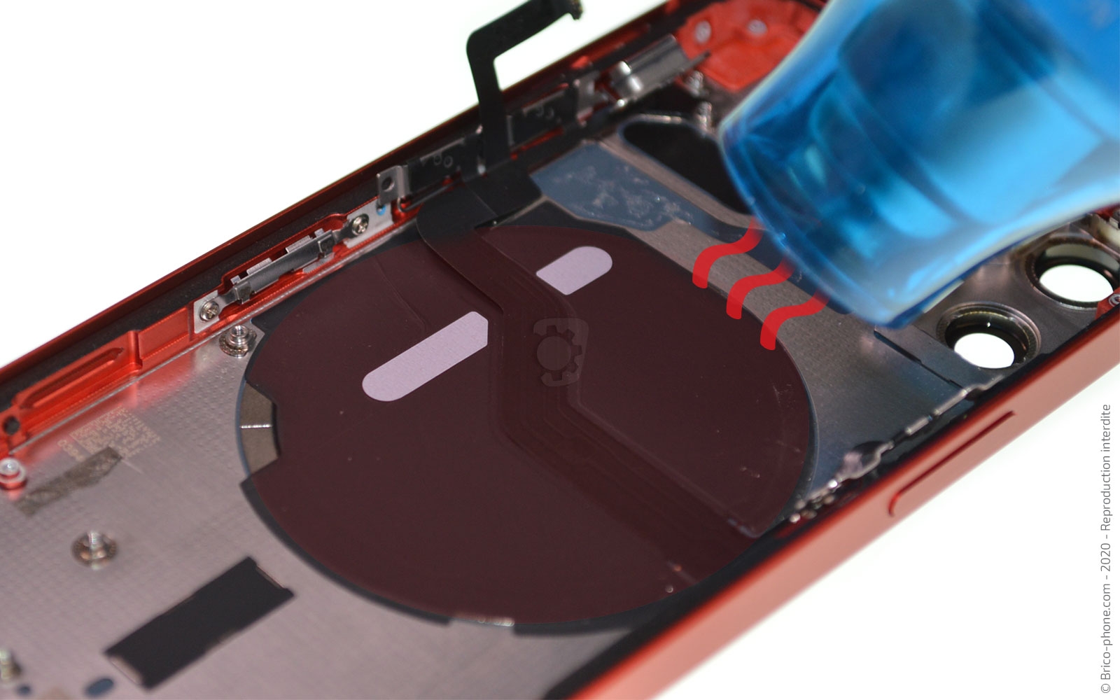 Démontage complet sur iPhone 12 Mini photo 1