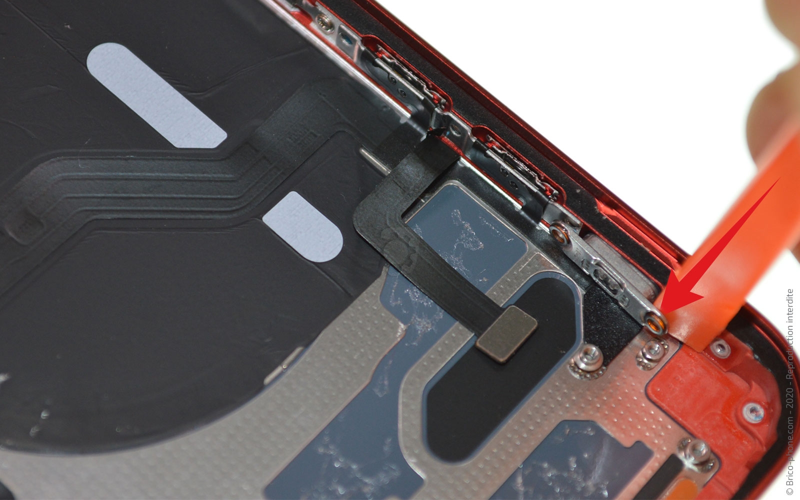 Démontage complet sur iPhone 12 Mini photo 1