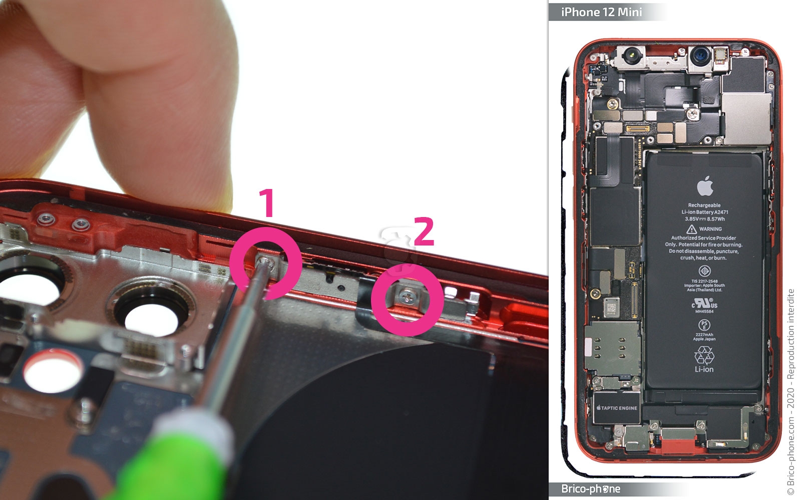 Démontage complet sur iPhone 12 Mini photo 1