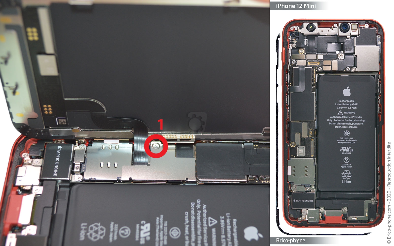 Démontage complet sur iPhone 12 Mini photo 1