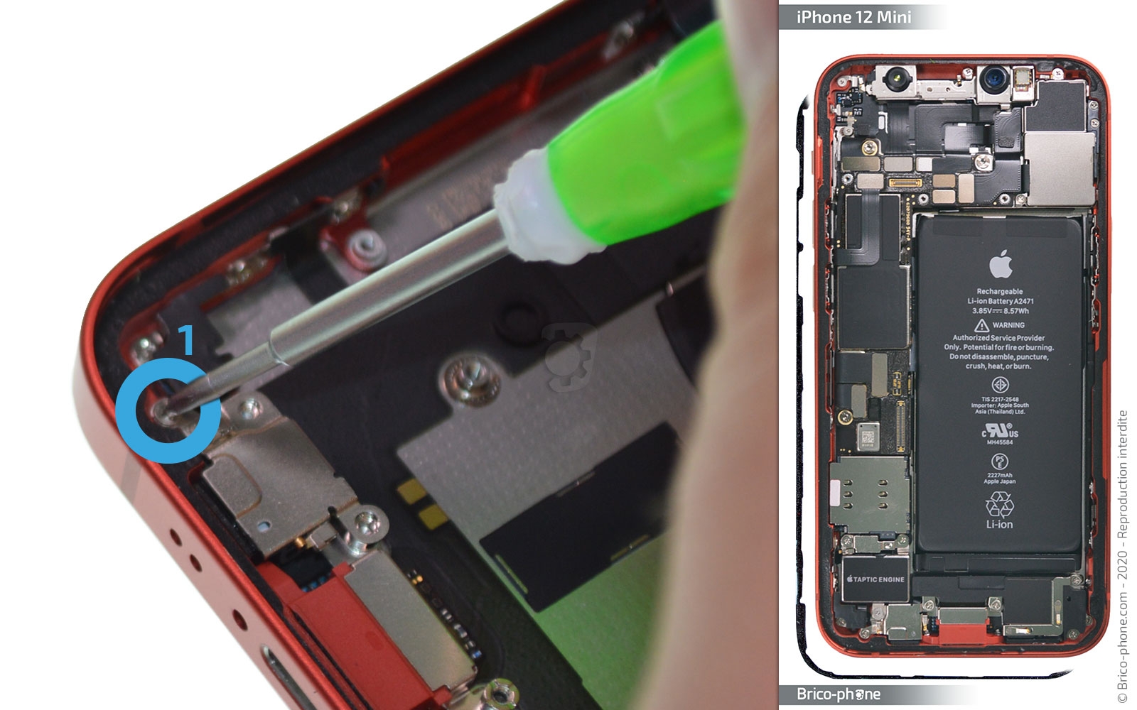 Démontage complet sur iPhone 12 Mini photo 1
