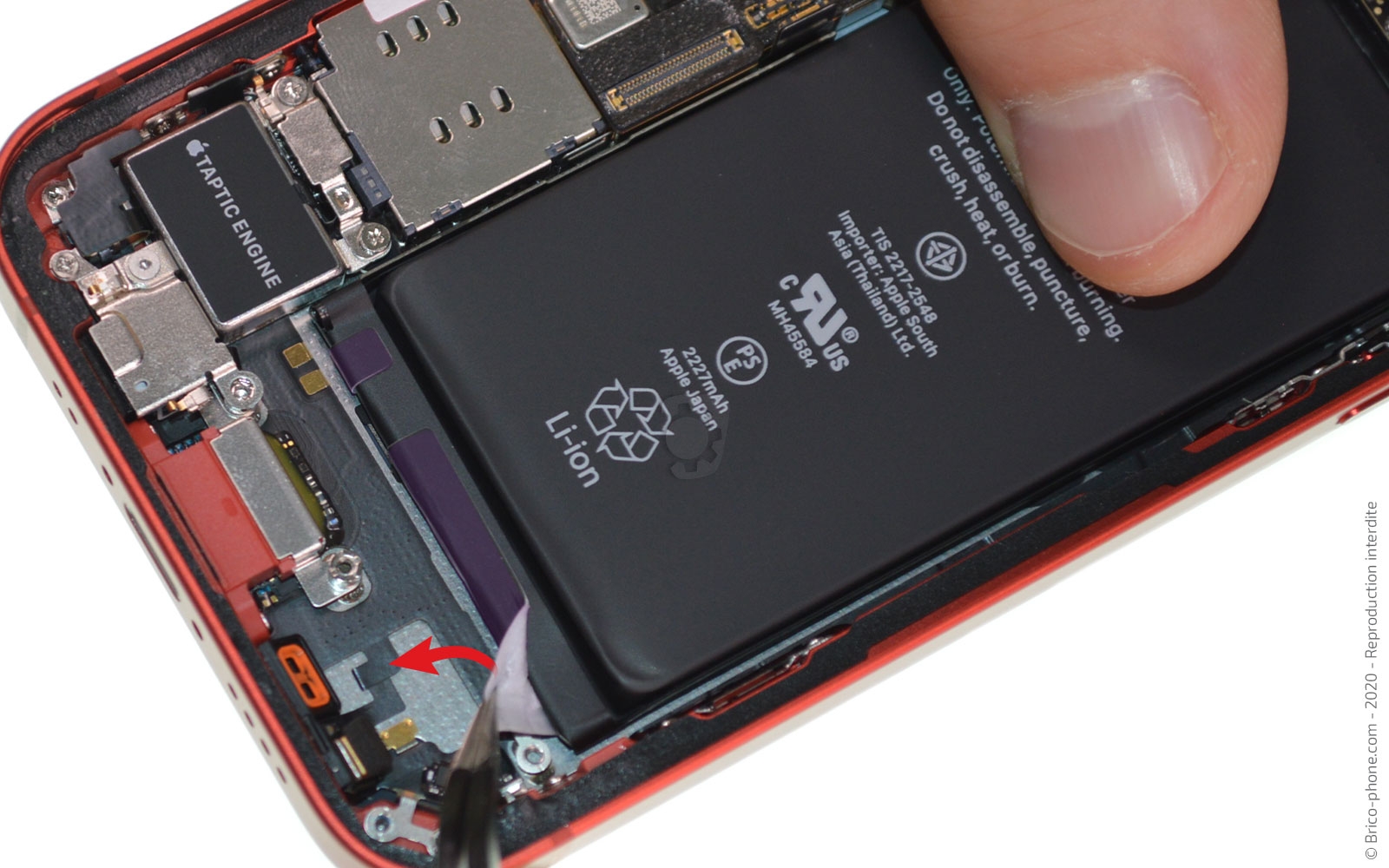 Démontage complet sur iPhone 12 Mini photo 1