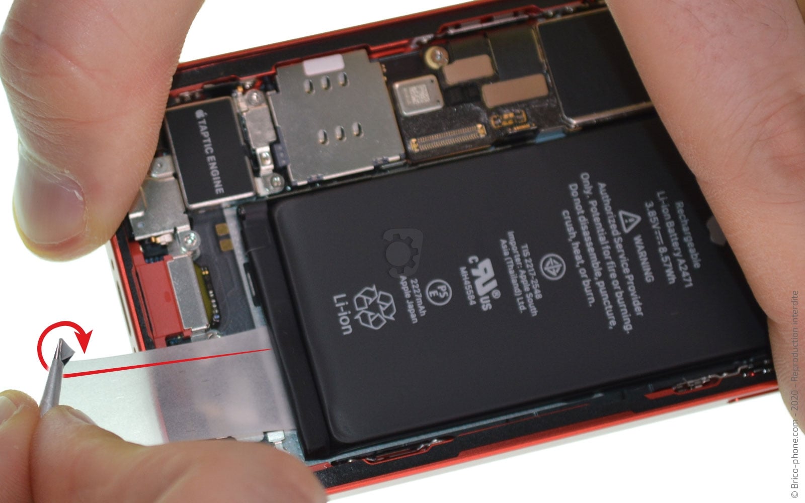 Démontage complet sur iPhone 12 Mini photo 2