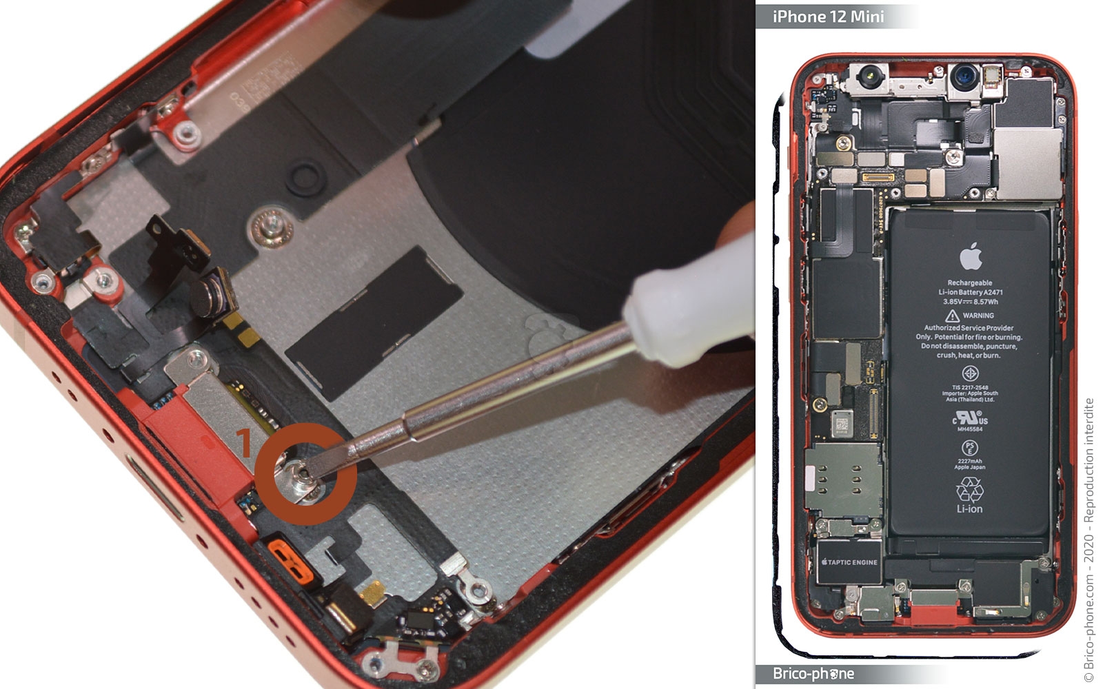 Démontage complet sur iPhone 12 Mini photo 1