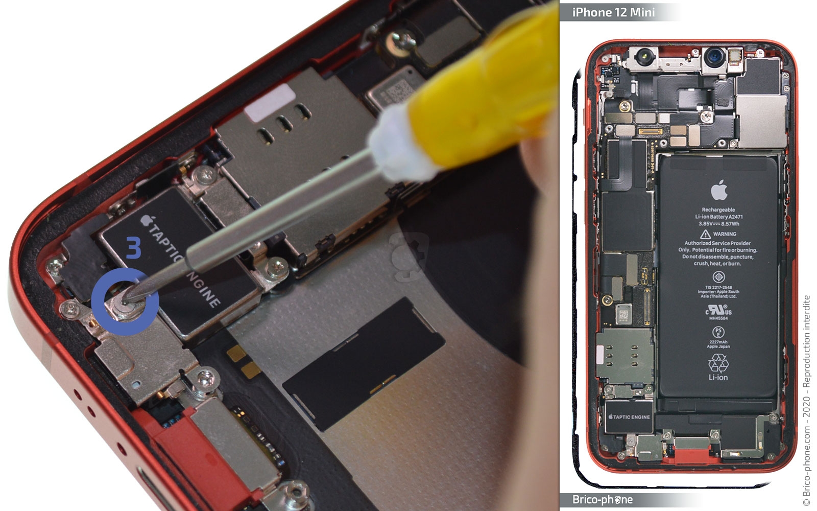 Démontage complet sur iPhone 12 Mini photo 1