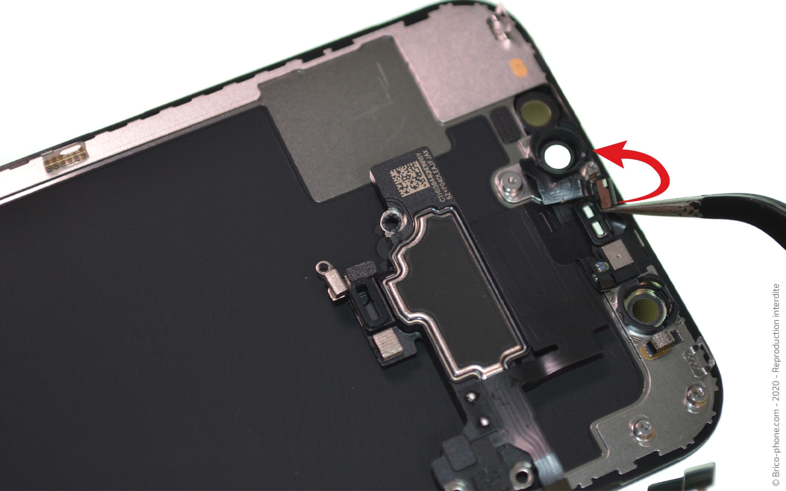 Démontage complet sur iPhone 12 Mini photo 1