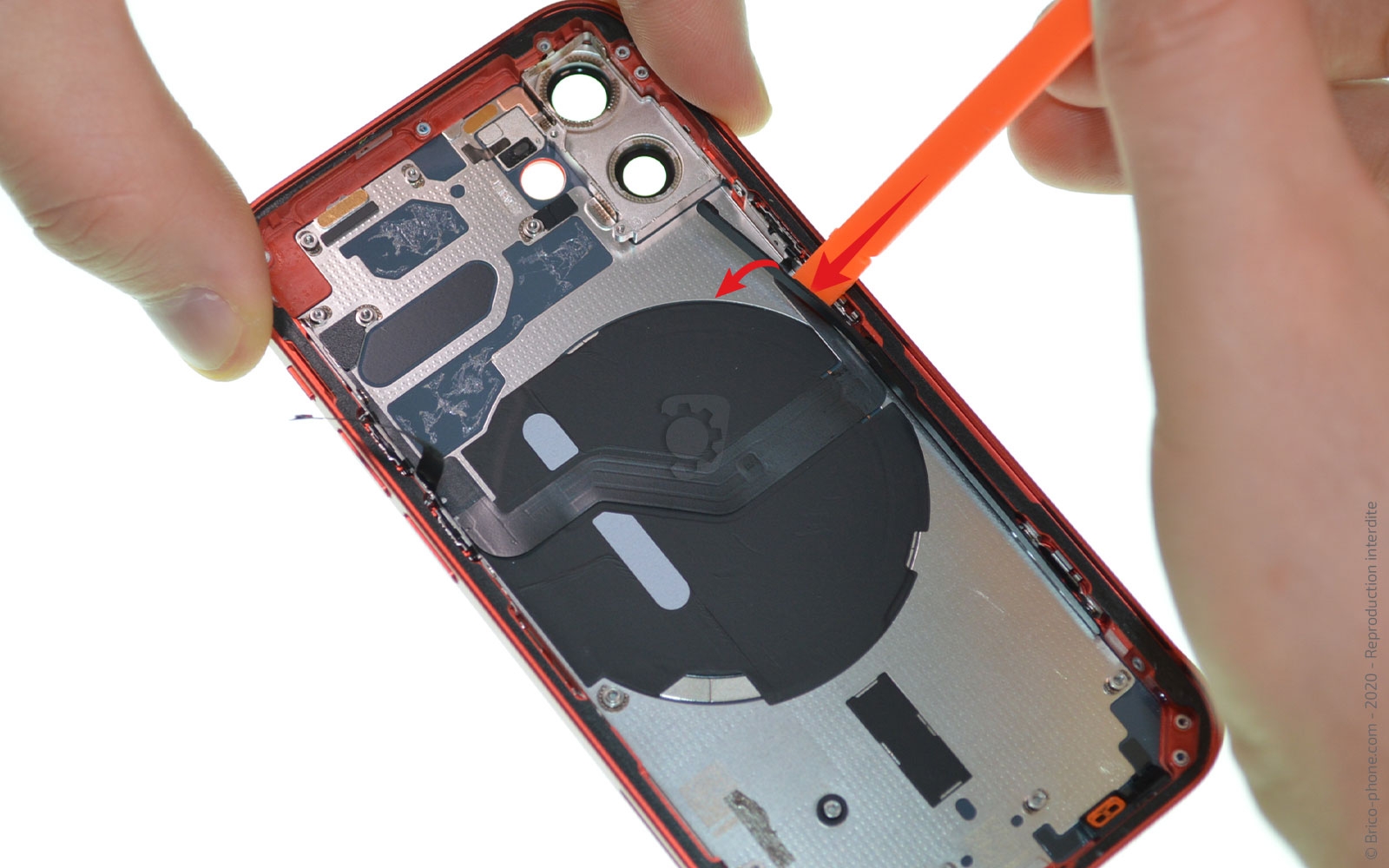 Démontage complet sur iPhone 12 Mini photo 1