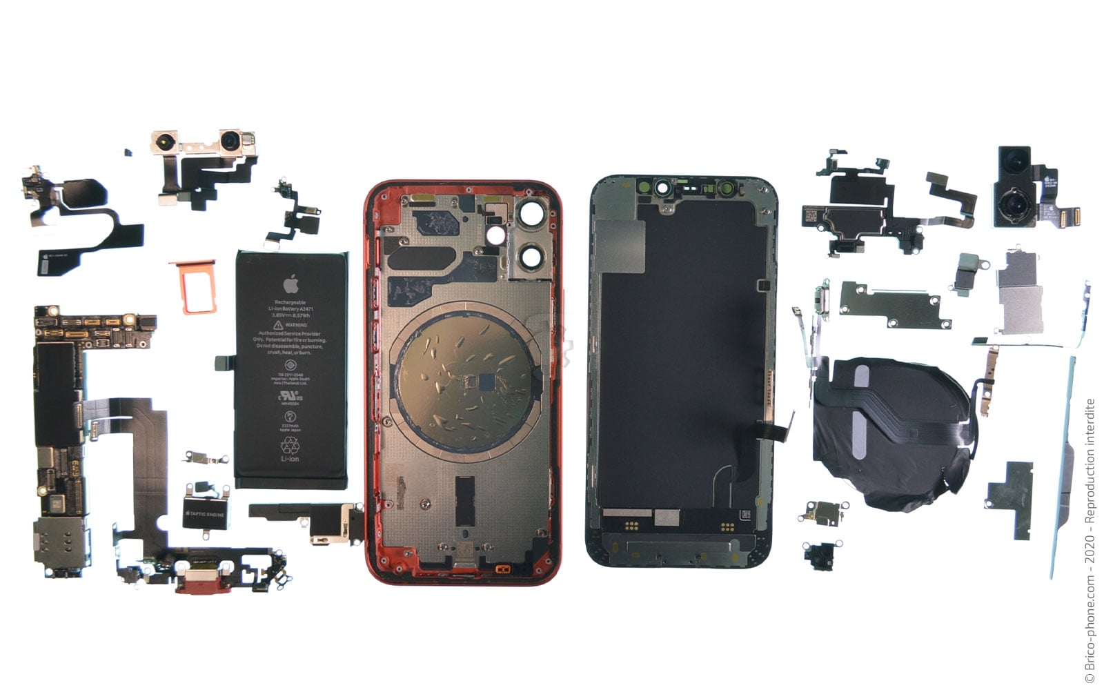 Démontage complet sur iPhone 12 Mini photo 1