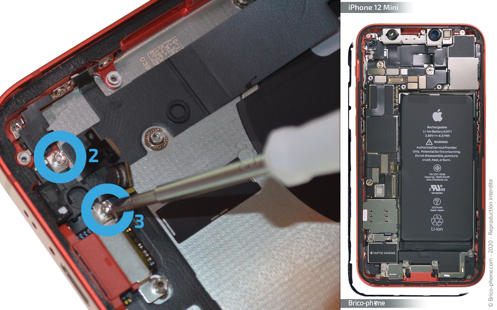 Remplacer le connecteur de charge sur iPhone 12 Mini photo 1