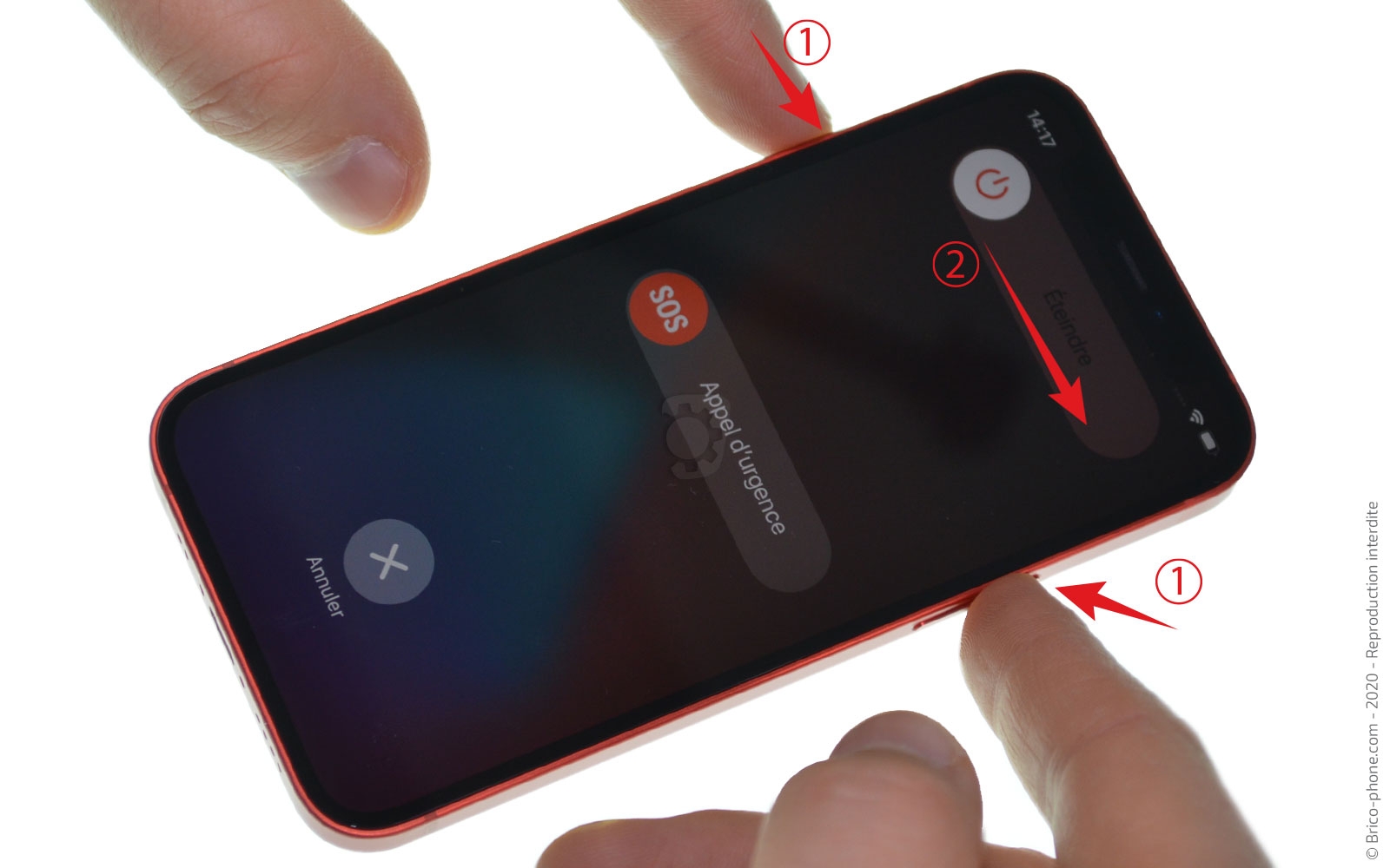 Changement du haut-parleur externe sur iPhone 12 Mini photo 4