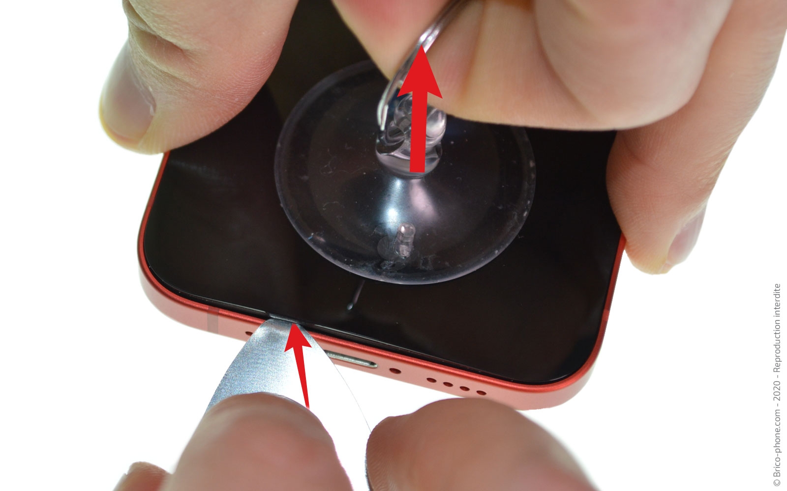 Remplacement du Taptic Engine (vibreur) sur iPhone 12 Mini photo 1