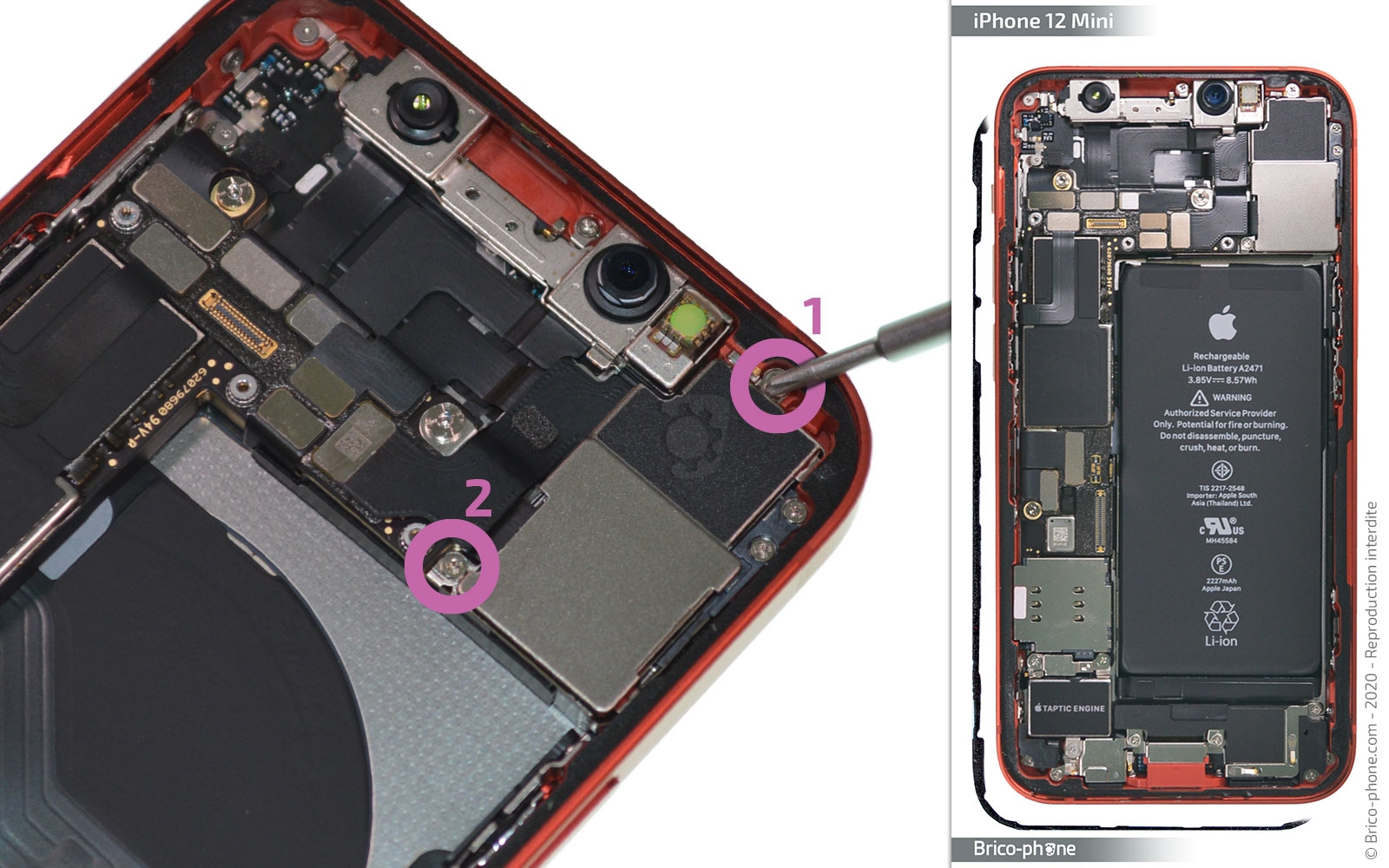 Changement du module double caméras arrière sur iPhone 12 Mini photo 1
