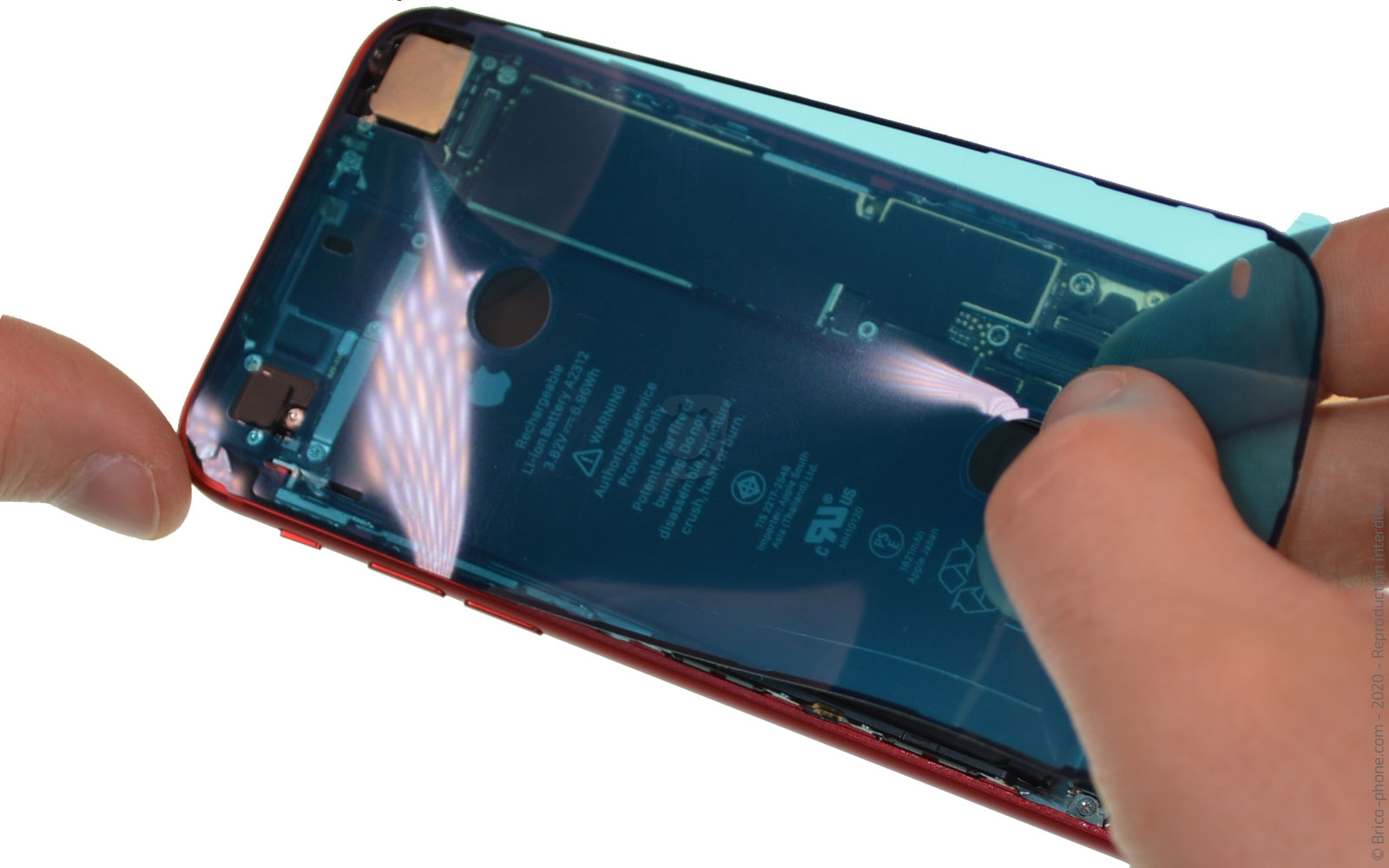 Changement de coque arrière sur iPhone SE 2020 photo 2