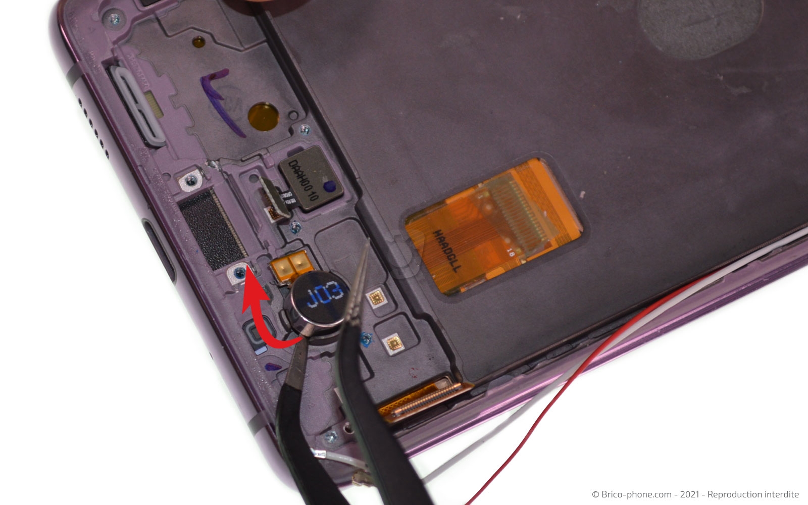 Démontage complet sur Galaxy S20 FE photo 2