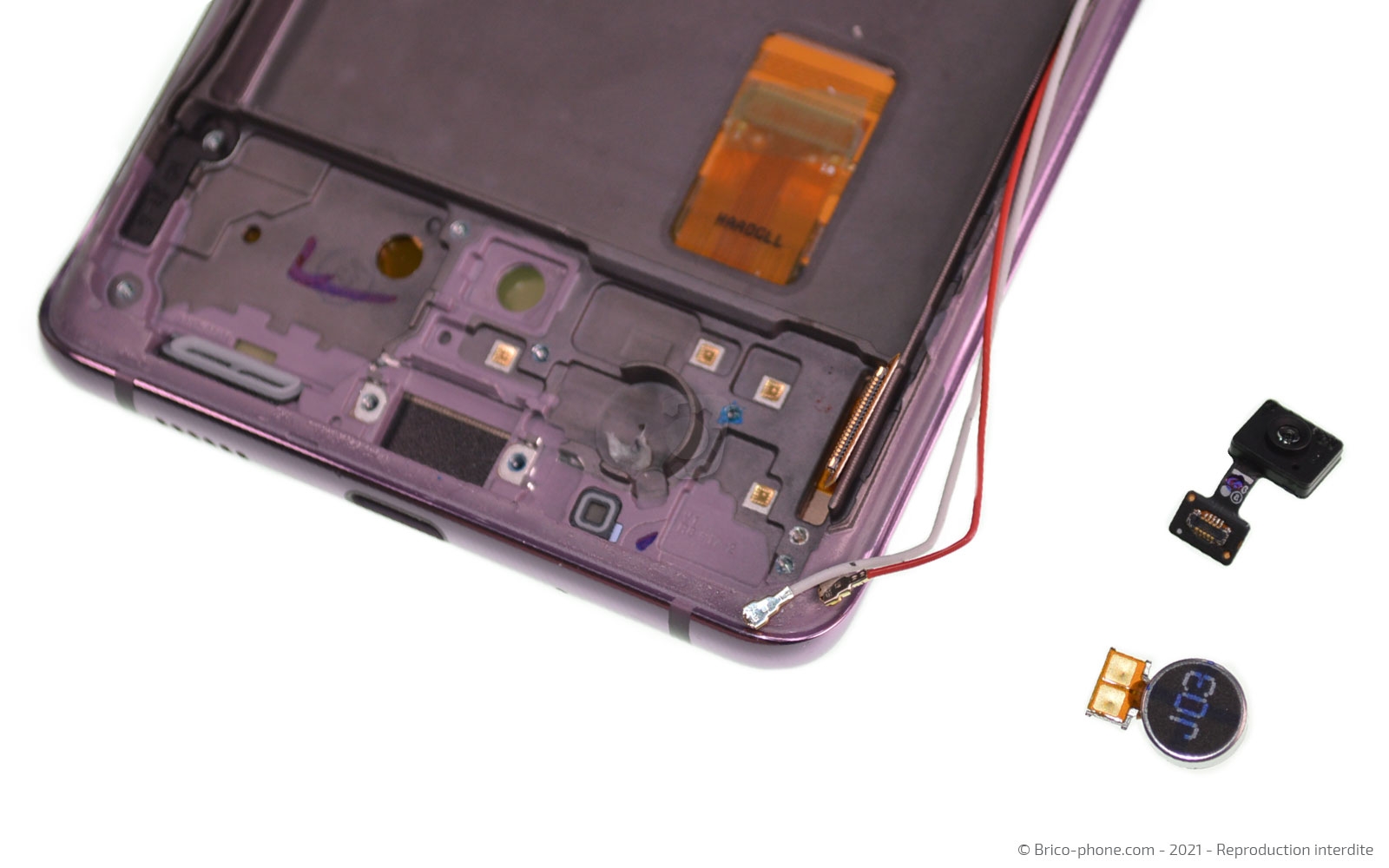 Démontage complet sur Galaxy S20 FE photo 4