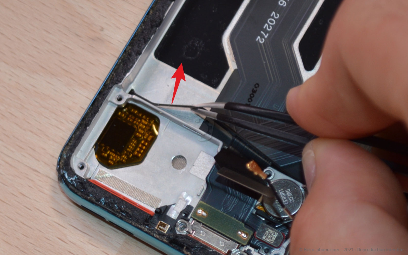 Démontage complet sur OnePlus Nord photo 1